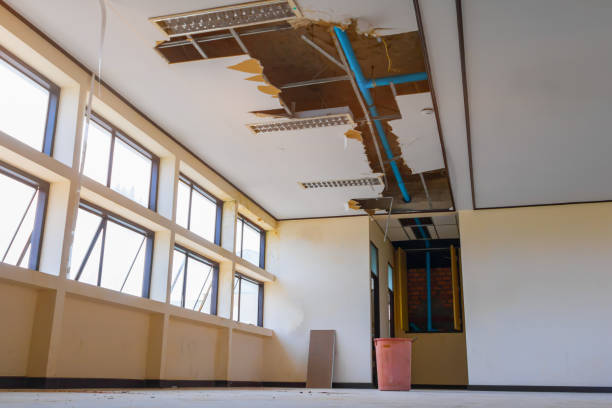 Best Fire Damage Restoration  in Madill, OK