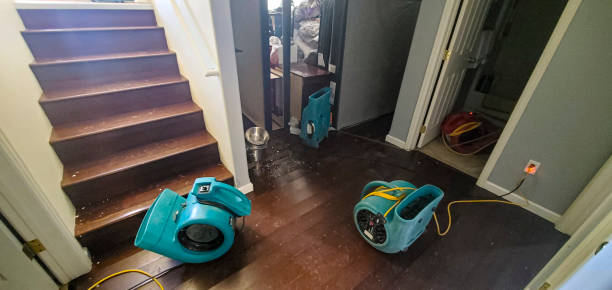 Best 24/7 water damage repair  in Madill, OK
