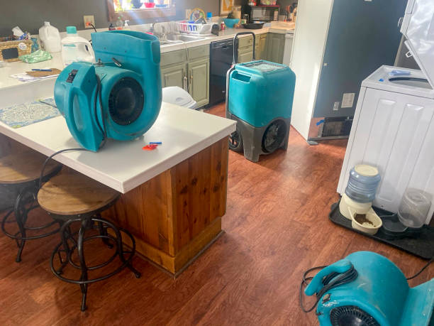 Best Residential water damage restoration  in Madill, OK