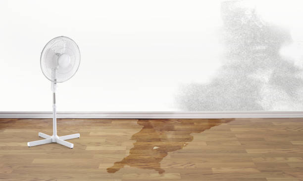 Water damage restoration experts in OK