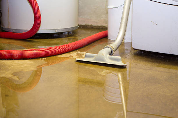 Best Ceiling water damage repair  in Madill, OK