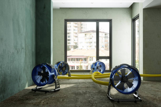 Best Commercial water damage restoration  in Madill, OK